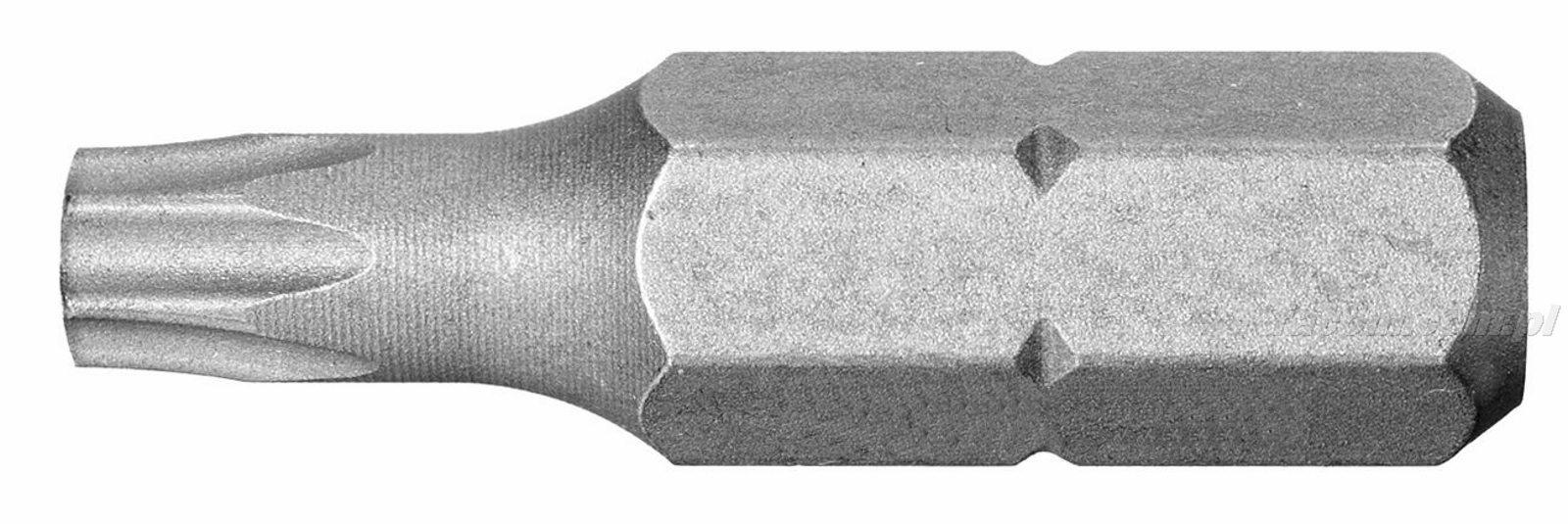 EX.1 - Standard bits series 1 for Torx® screws T6 - T40