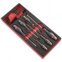 MODM.A7 - 6 PT SCREWDRIVERS WITH HEX AND TORX KEY