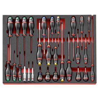 MODM.A456 - Moduł 19 wkrętaków Protwist® do śrub z rowkiem, Phillips, Pozidriv, Torx i Resistorx, wkładka piankowa