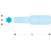 EX.110 - Końcówka standardowa do śrub TORX®, T10 