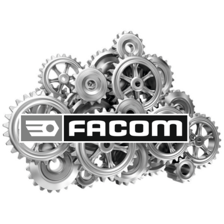 N.500 - OIL FOR AIR MOTORS 1L N.500 - OIL FOR AIR MOTORS 1L