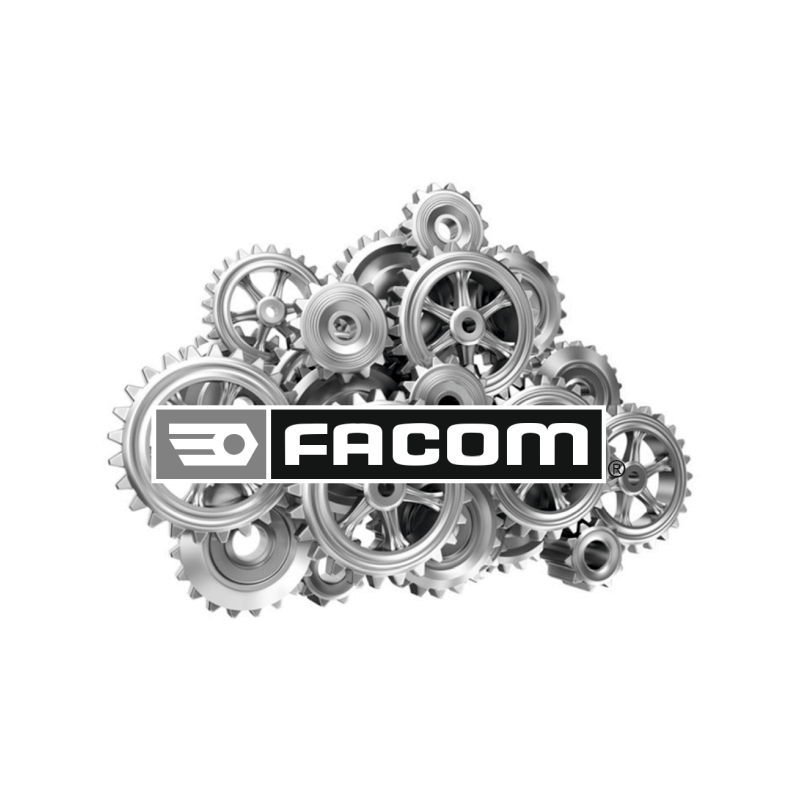 R.203DA00 - TORQUE XRENCH R.203DA00 - TORQUE XRENCH