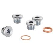 DM.B47M17J4 - SET OF 4 M17 OIL PLUG AND WHASHER