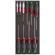 MODM.AT6 - Moduł 10 wkrętaków Protwist® Resistorx® i Micro-Tech® Torx®, T6 – T8 i TT10 – TT40, wkładka piankowa