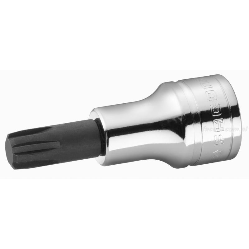D.34B10 - nasadka trzpieniowa z długim grotem i 6-rowkami, 10 mm D.34B10 - nasadka trzpieniowa z długim grotem i 6-rowkami, 10 mm