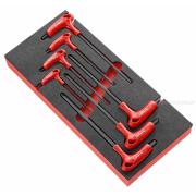 MODM.84TZS - moduł kluczy trzpieniowych T na wkładce piankowej