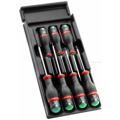 MOD.ANXR - zestaw wkrętaków Protwist® do śrub Resistorx, TT10 - TT40