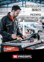 pobierz plik w formacie pdf